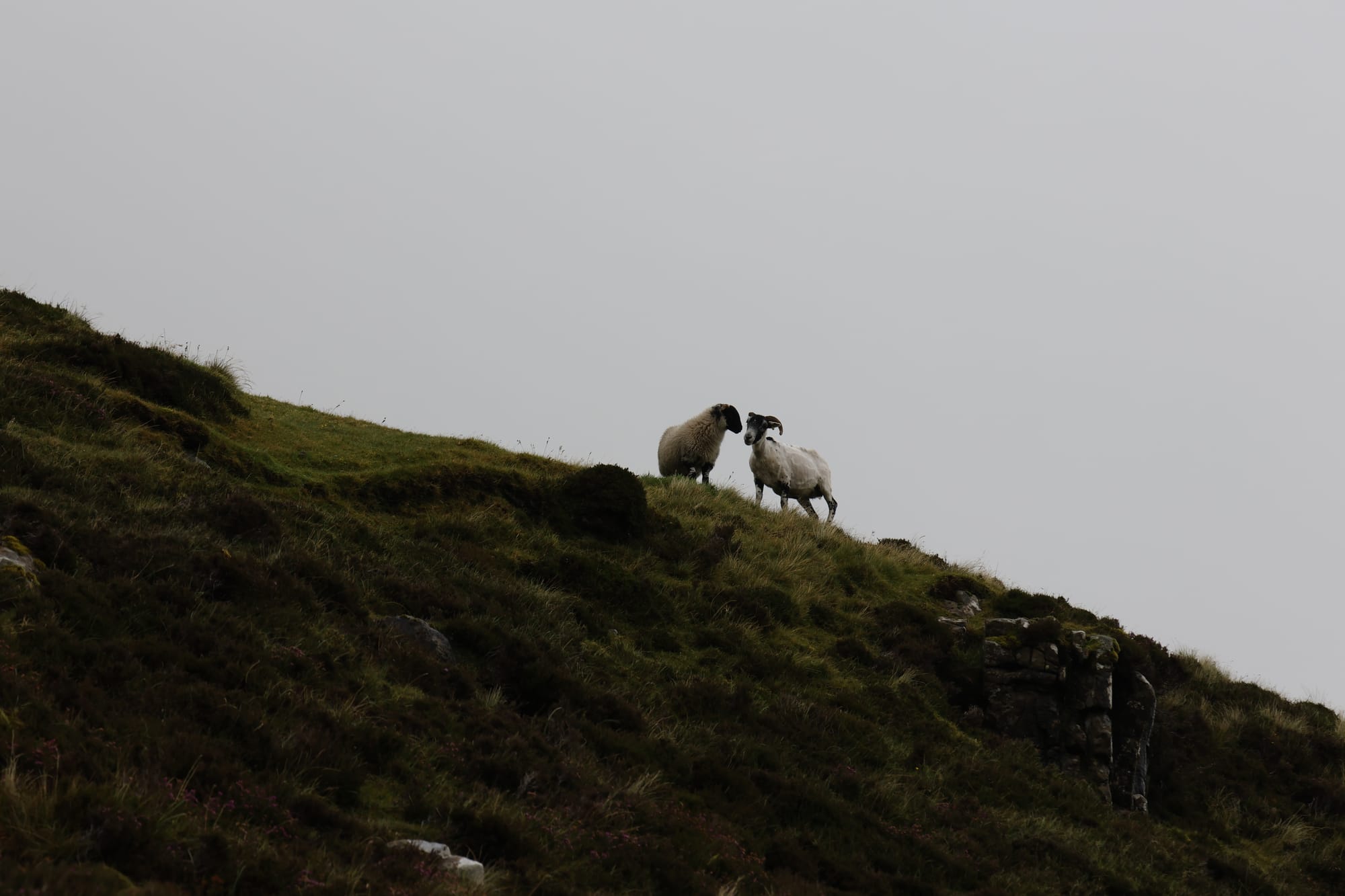 Reportage photo en Ecosse