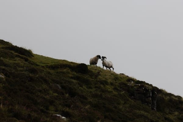 Reportage photo en Ecosse